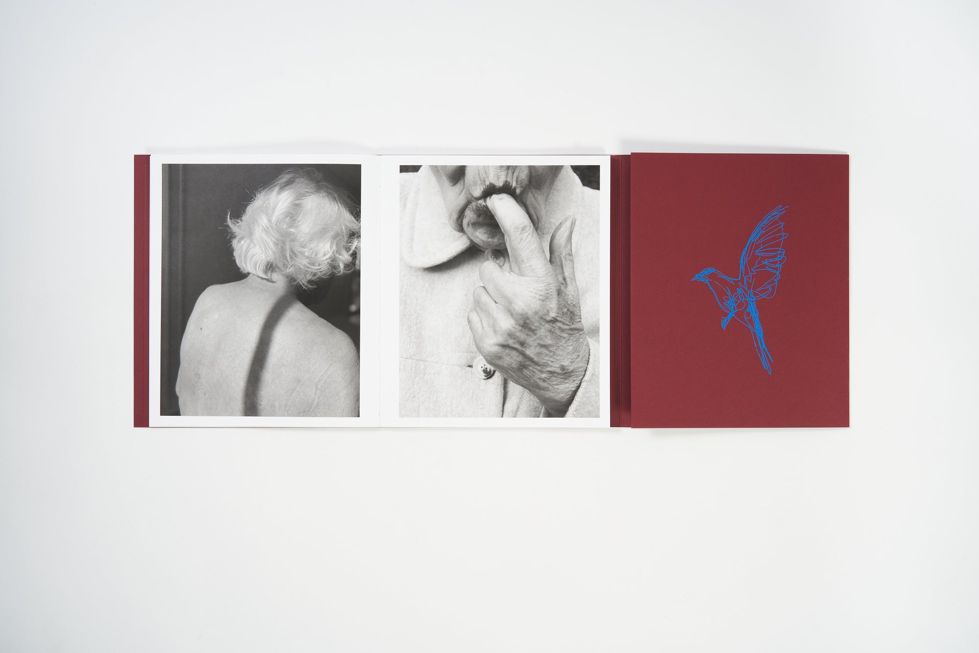 Calling The Birds Home