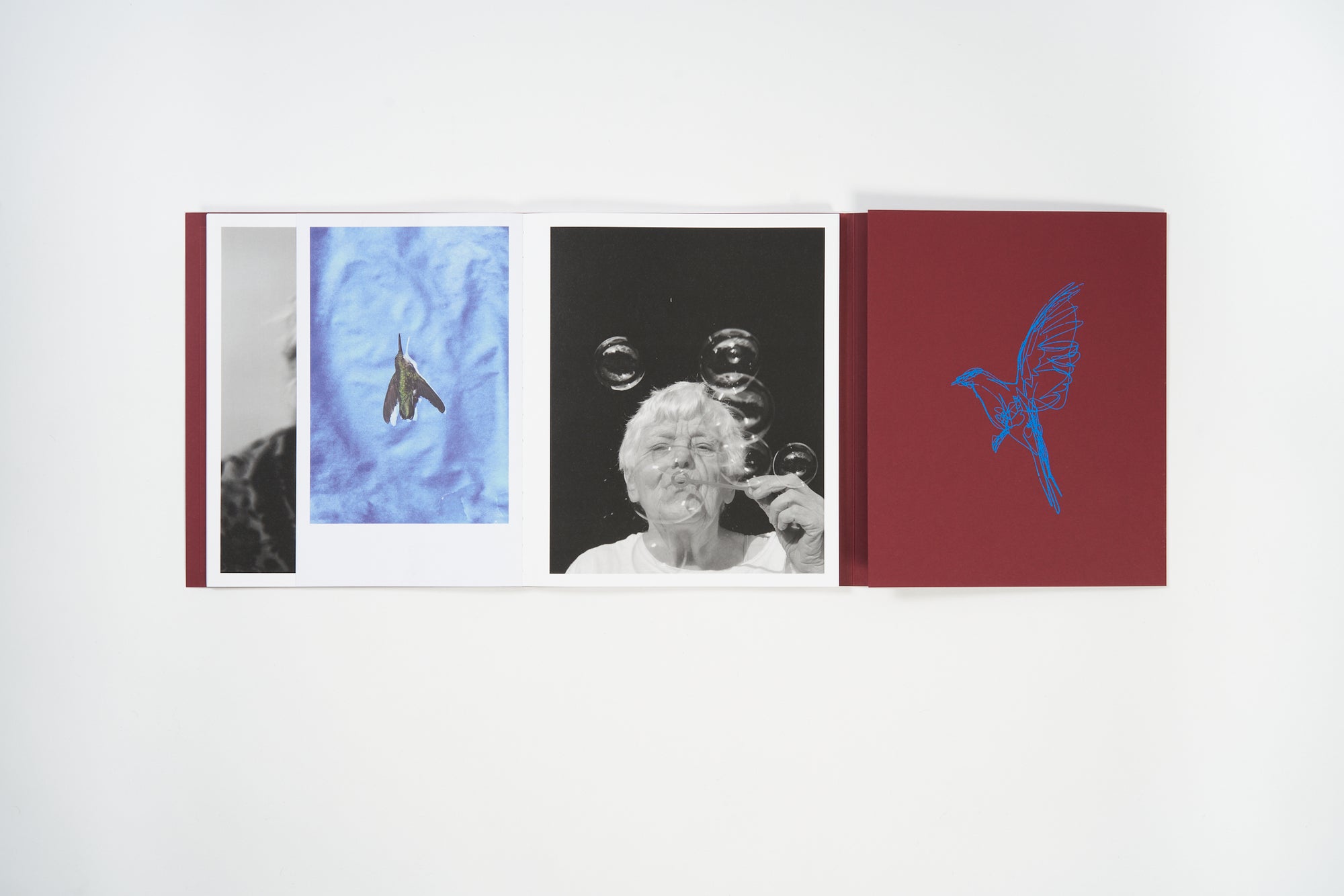 Calling The Birds Home