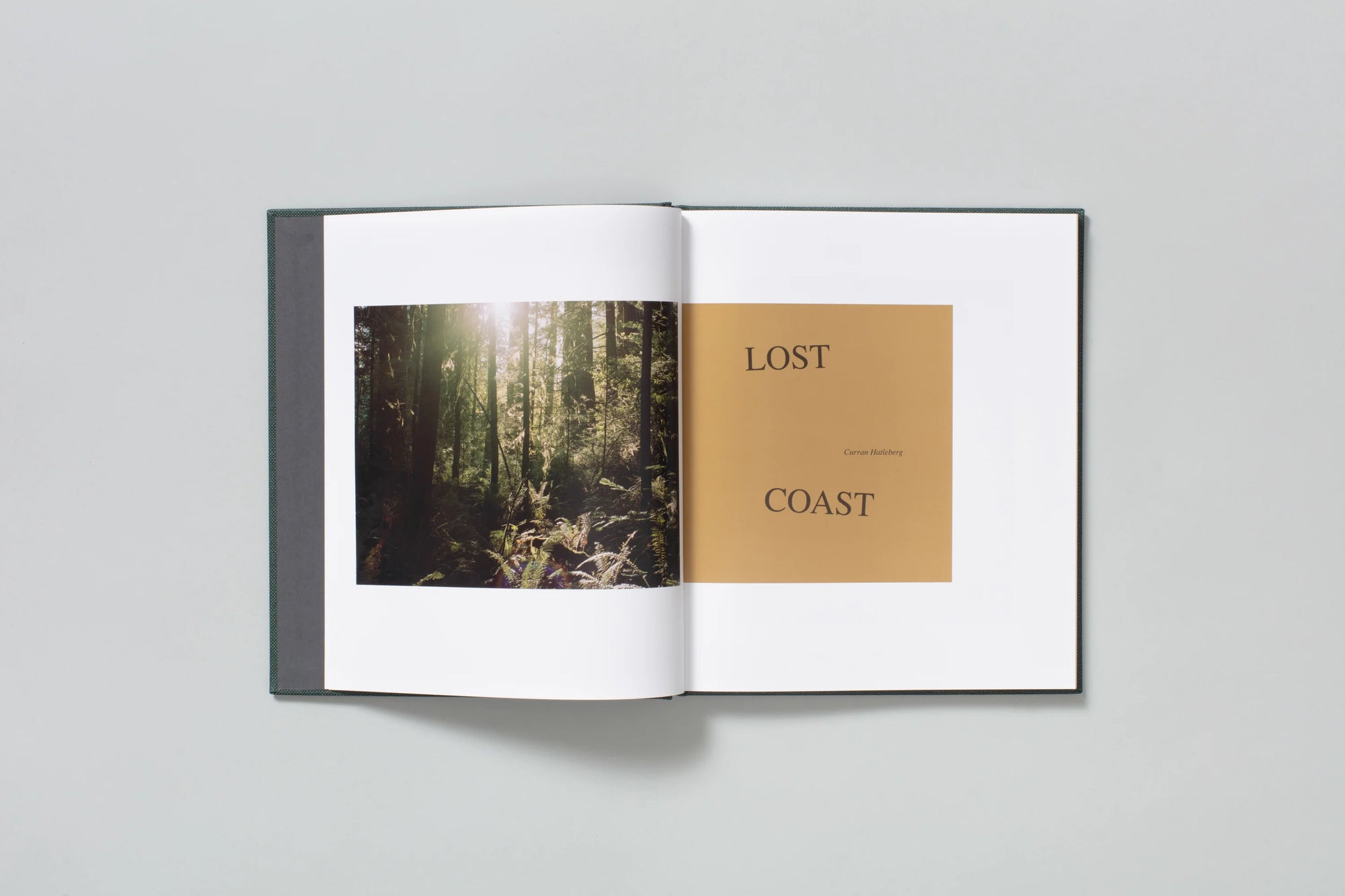 Lost Coast (2nd printing)