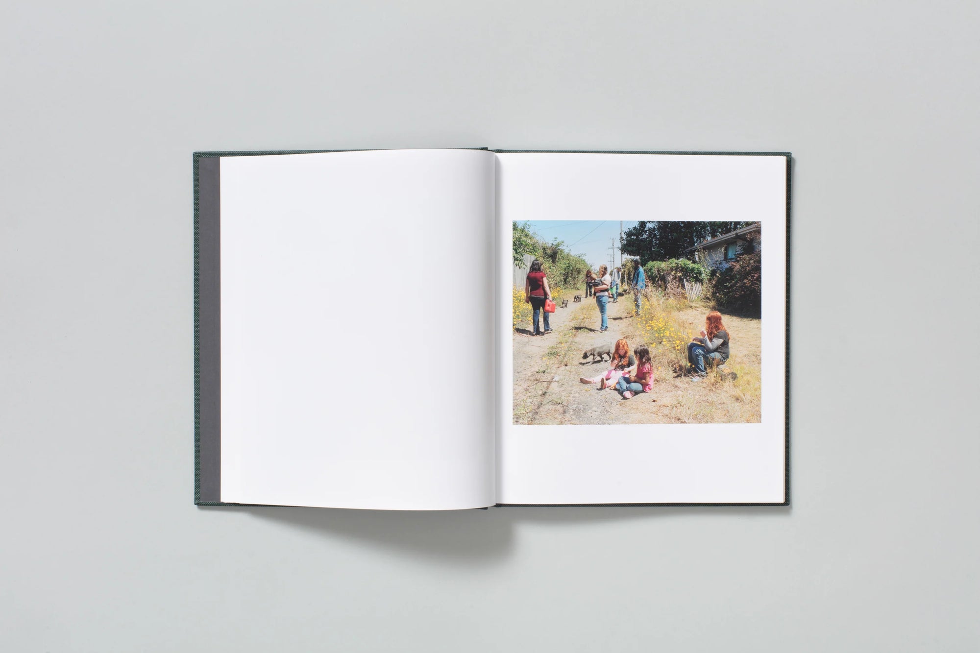 Lost Coast (2nd printing)