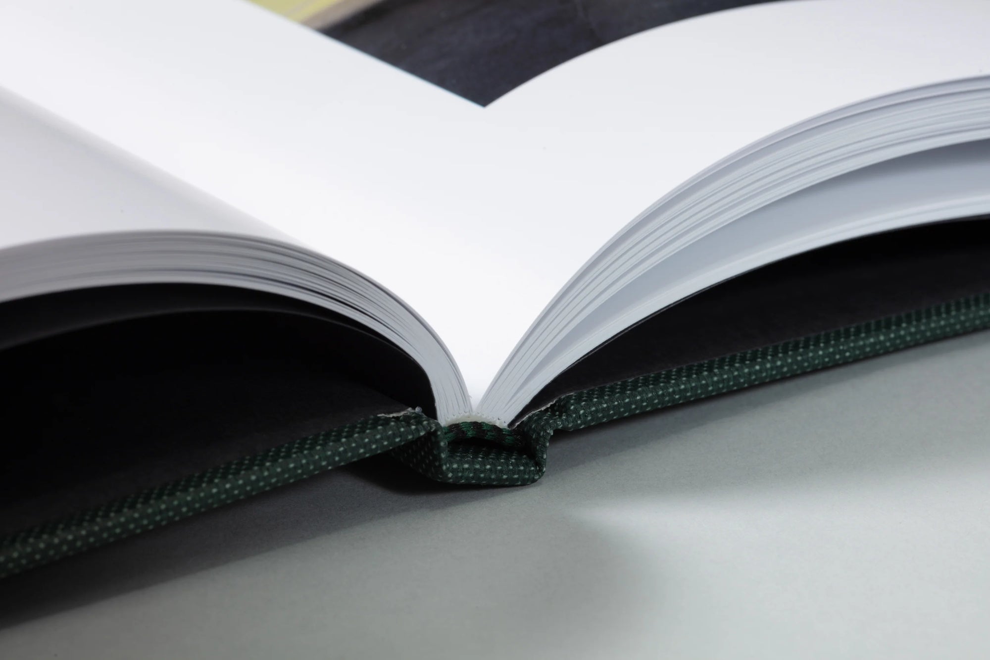 Lost Coast (2nd printing)