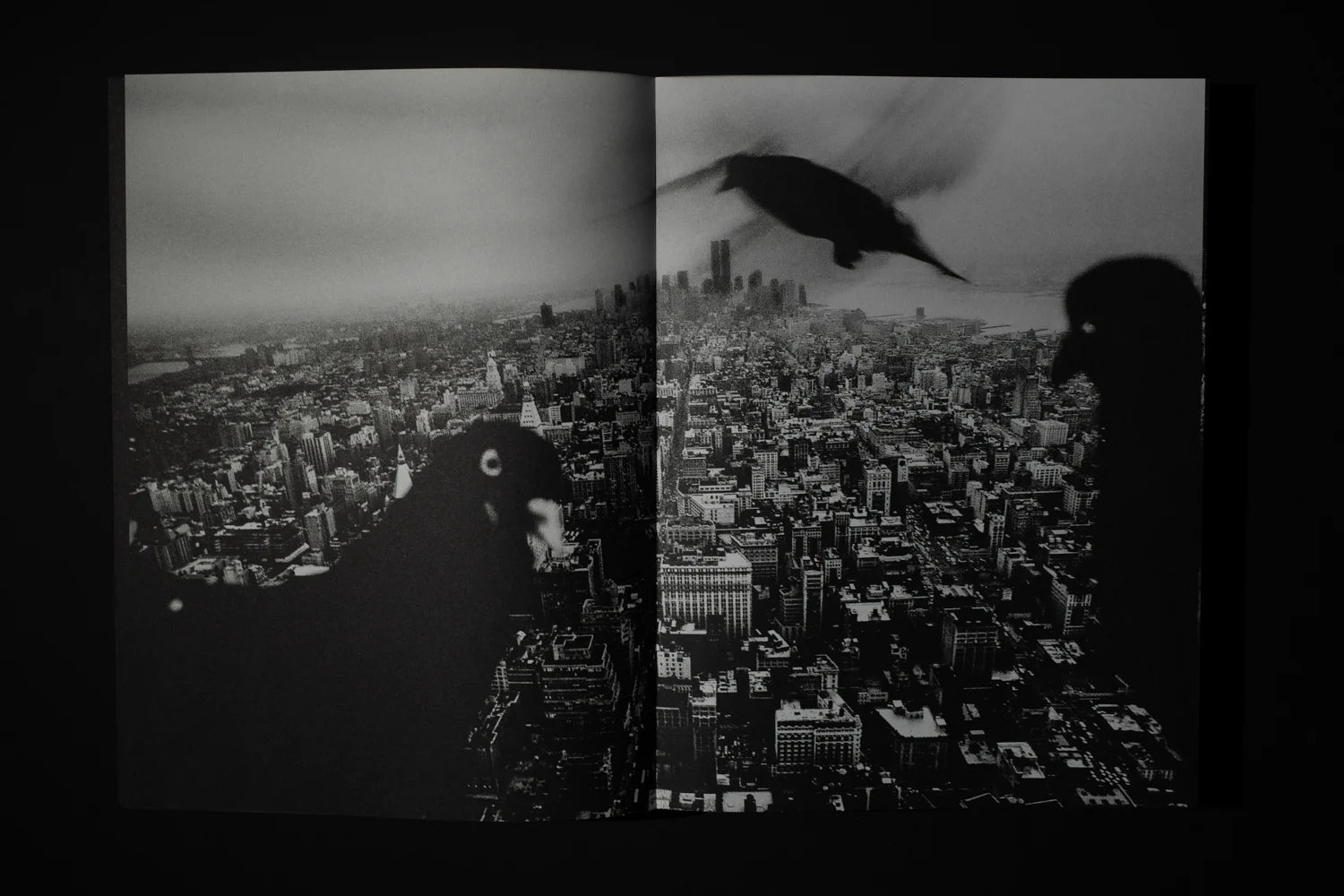 The World Is Where You Stop