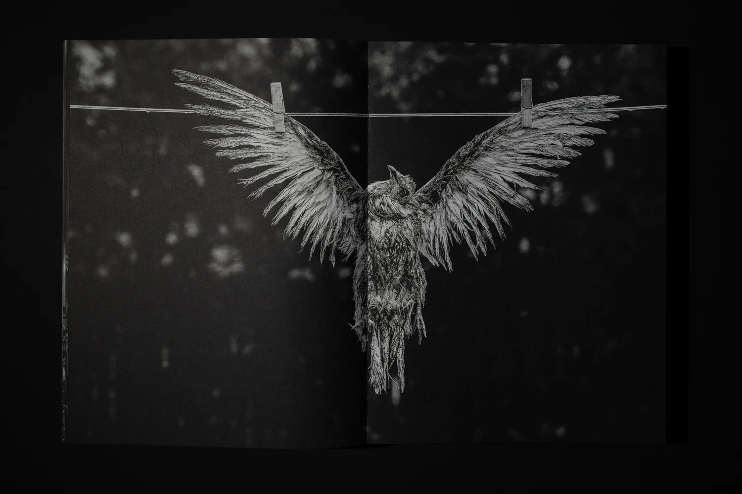 The World Is Where You Stop