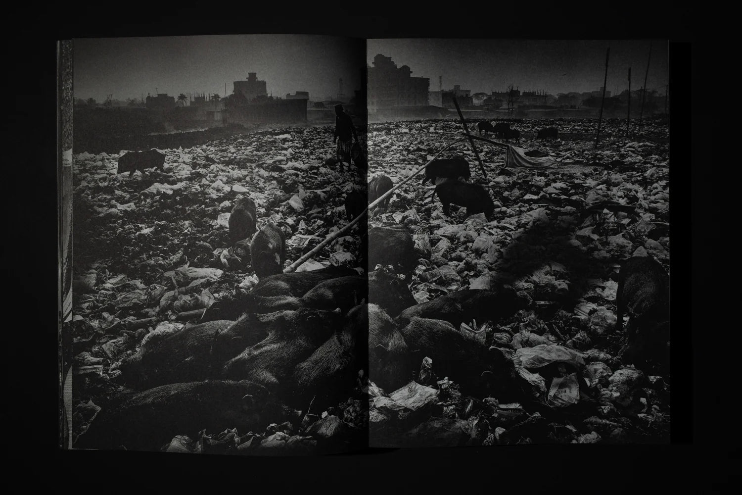 The World Is Where You Stop