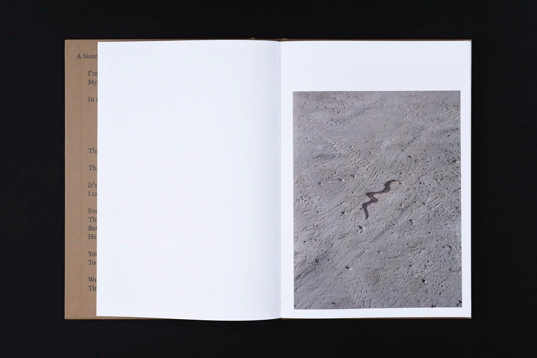 It’s hard to stop rebels that time travel