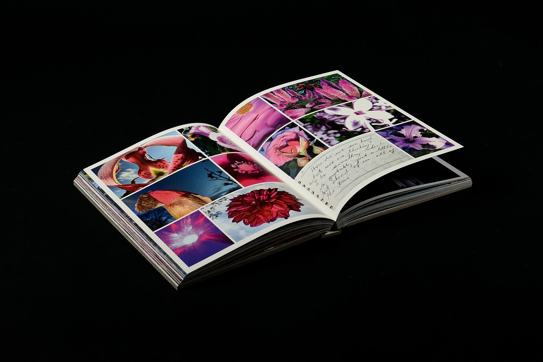 What if Jeff were a butterfly?