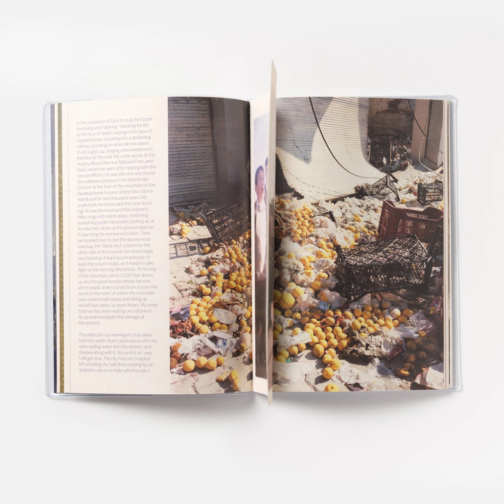 Zelzele : A Journey through the Earthquake Zone