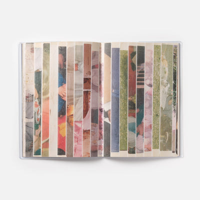 Zelzele : A Journey through the Earthquake Zone