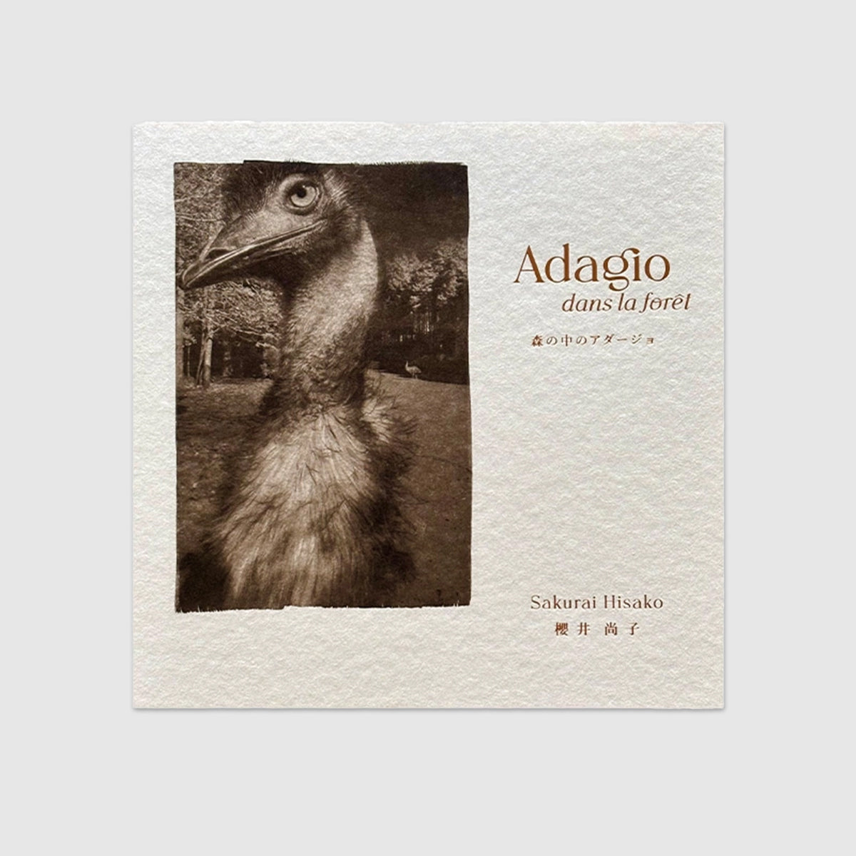 Adagio dans la forêt