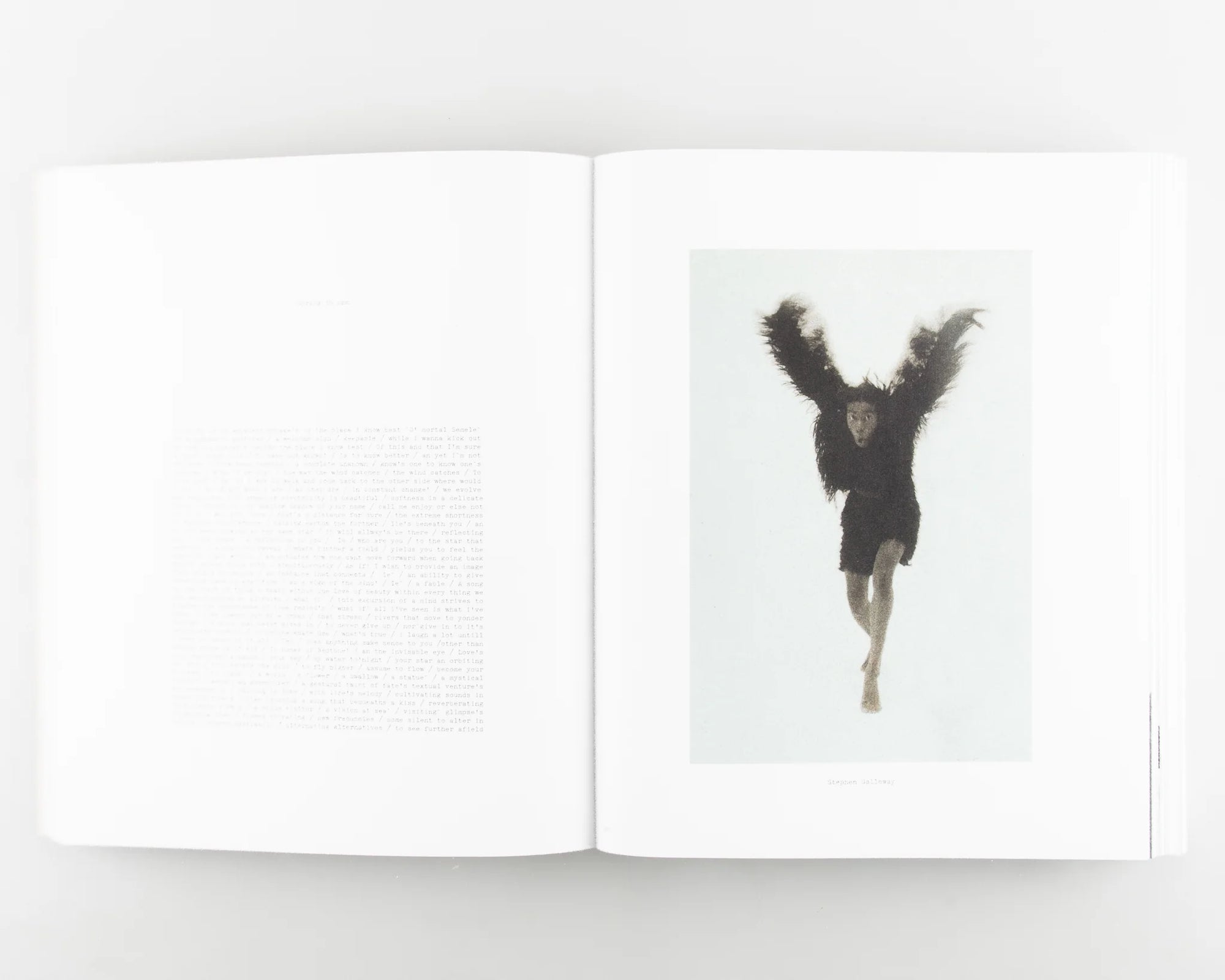 'Out of Date': Pola Pan 1984-1996