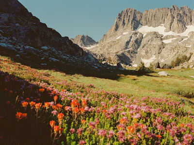 Another Patch of Sky