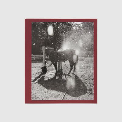 Calling The Birds Home