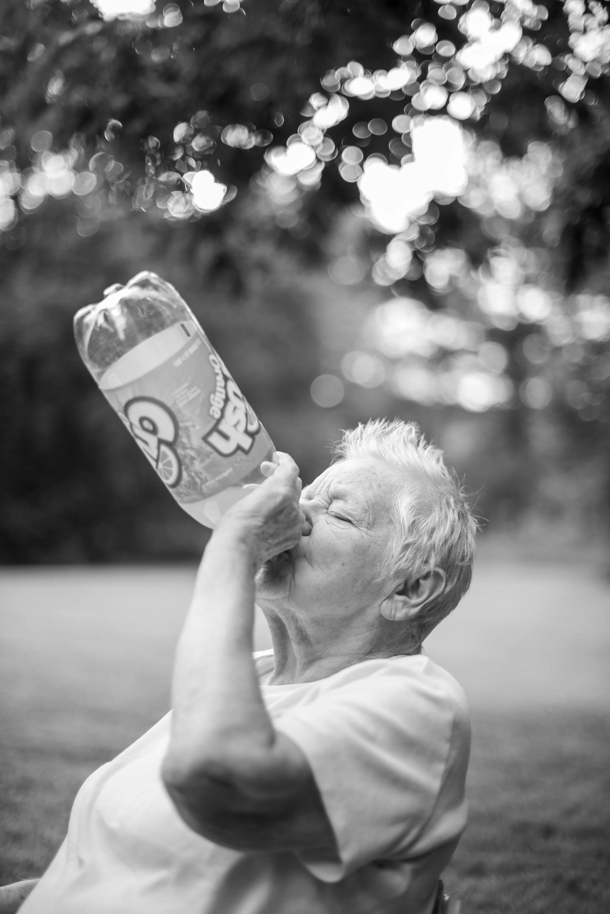 Calling The Birds Home