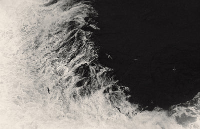Wool, Wind and Waves: Faroe Islands