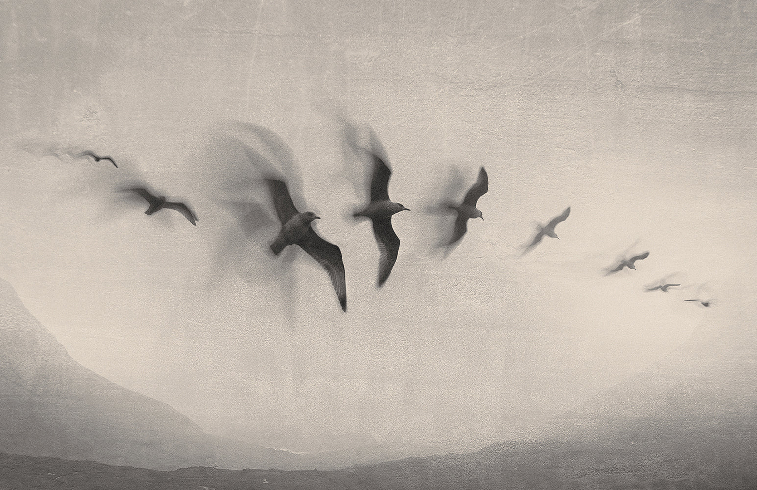 Wool, Wind and Waves: Faroe Islands