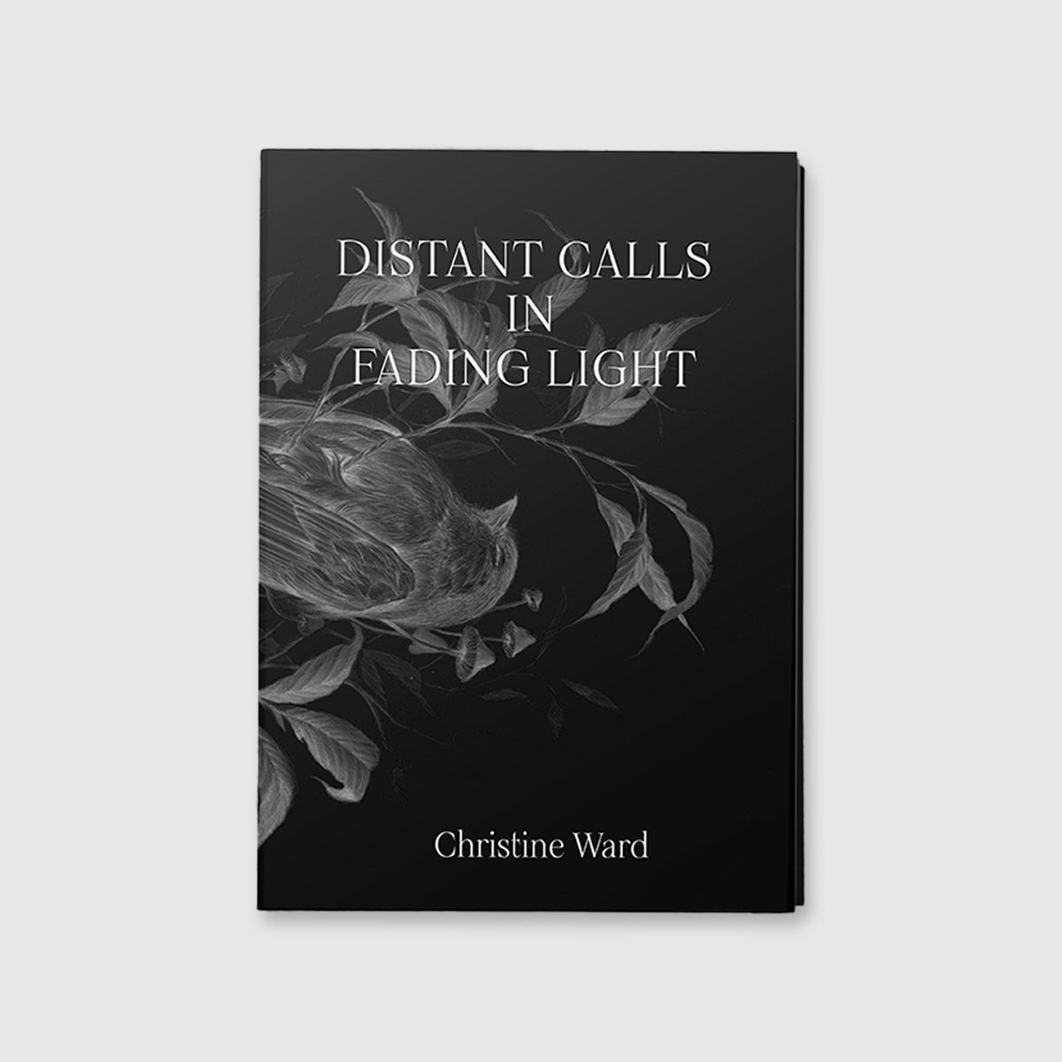 Distant Calls in Fading Light