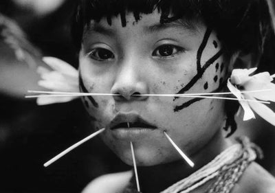 The Yanomami Struggle
