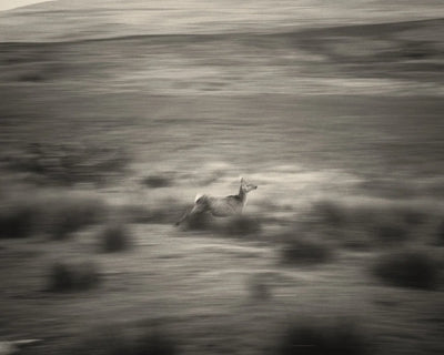 An Extremely Un-Get-Atable Place