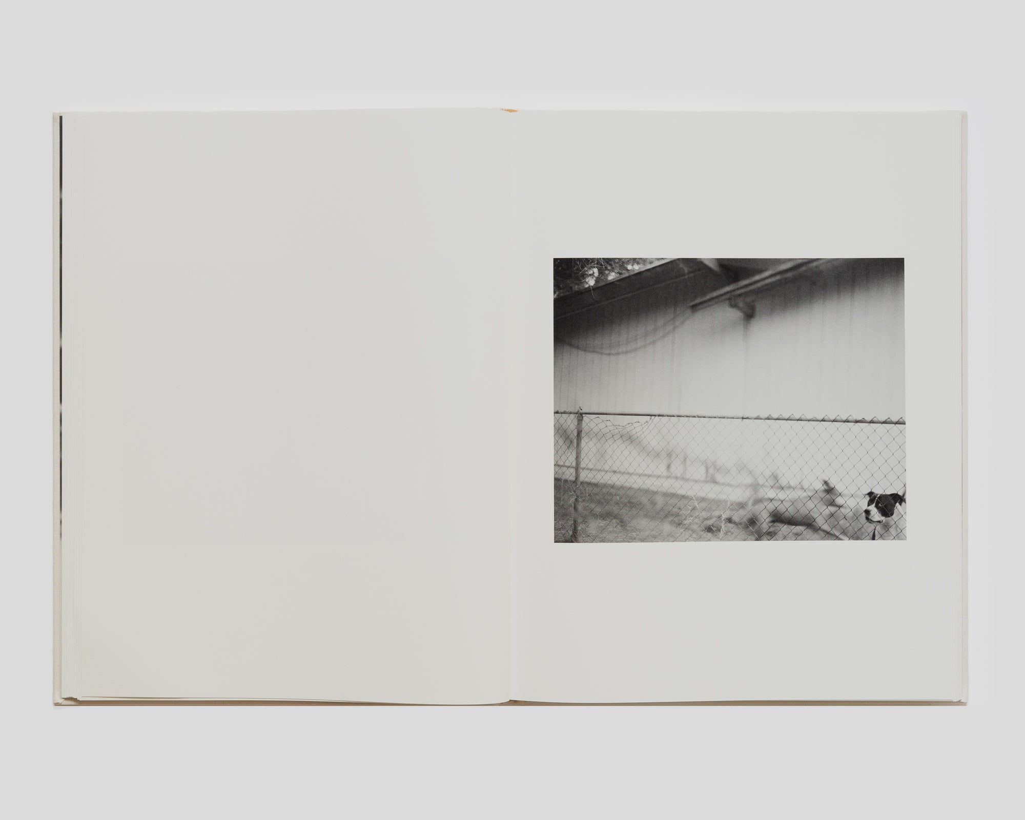 Ensemble – Matthew Genitempo – Dogbreath