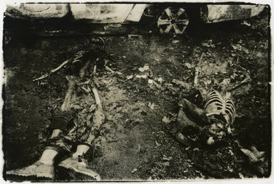 Documentation of the War