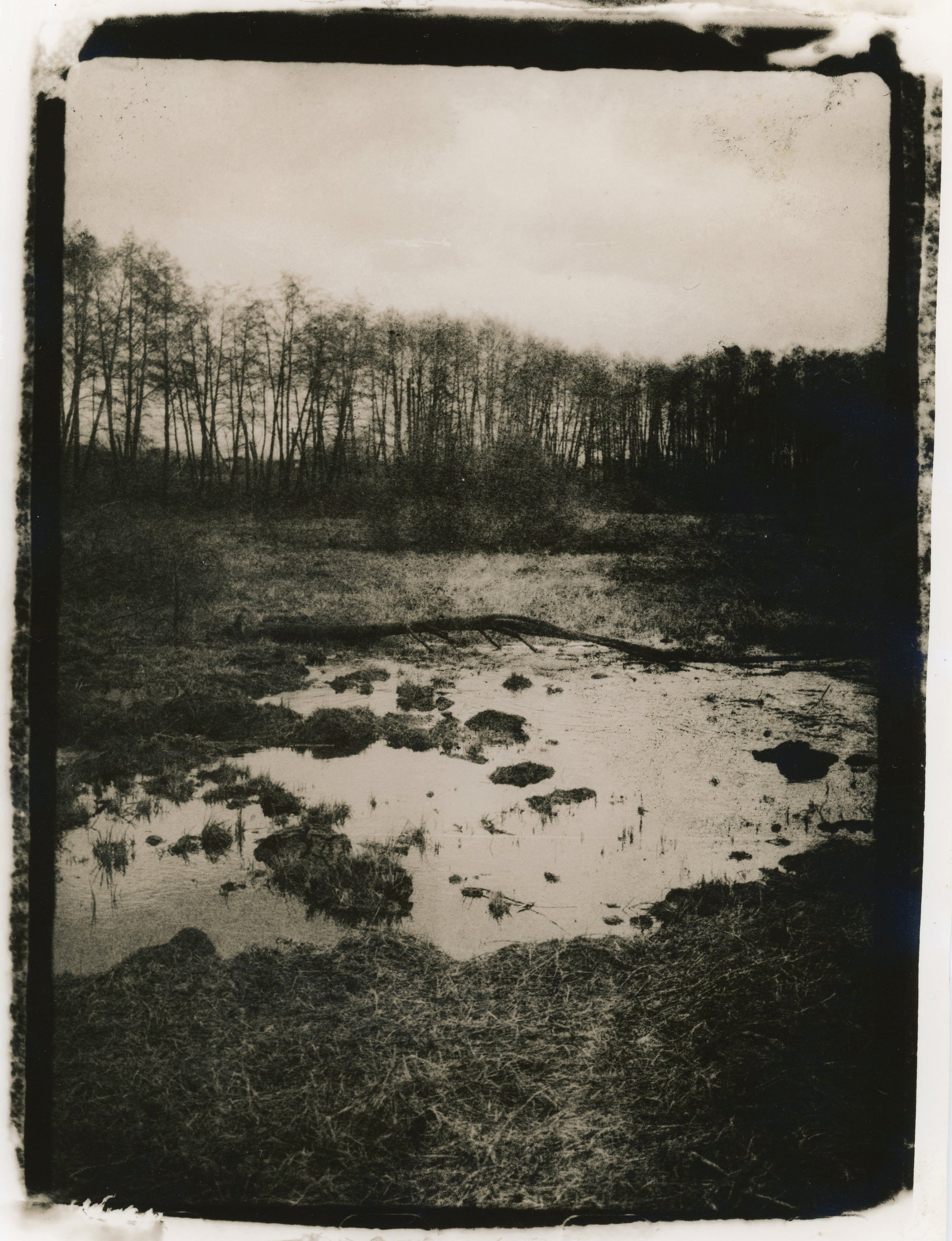 Documentation of the War