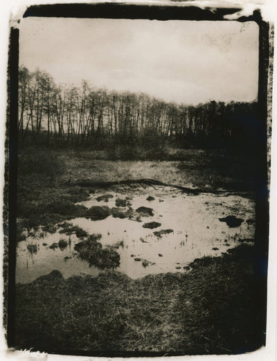 Documentation of the War