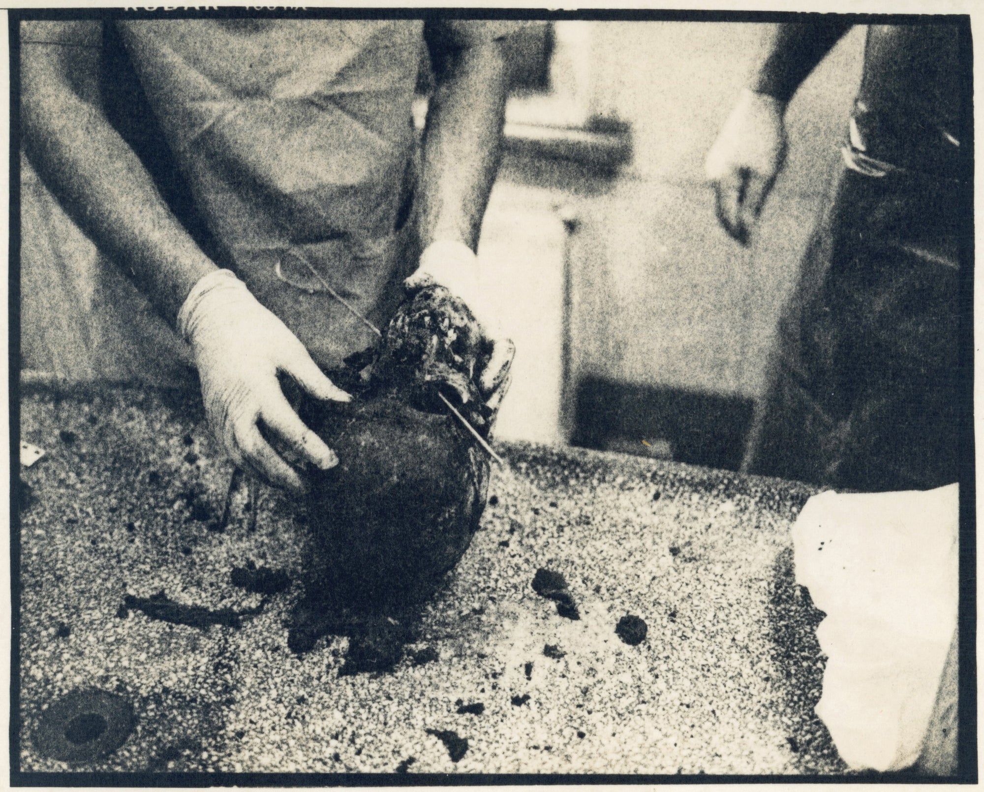 Documentation of the War