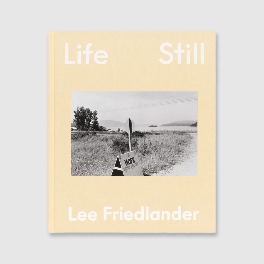 Life Still