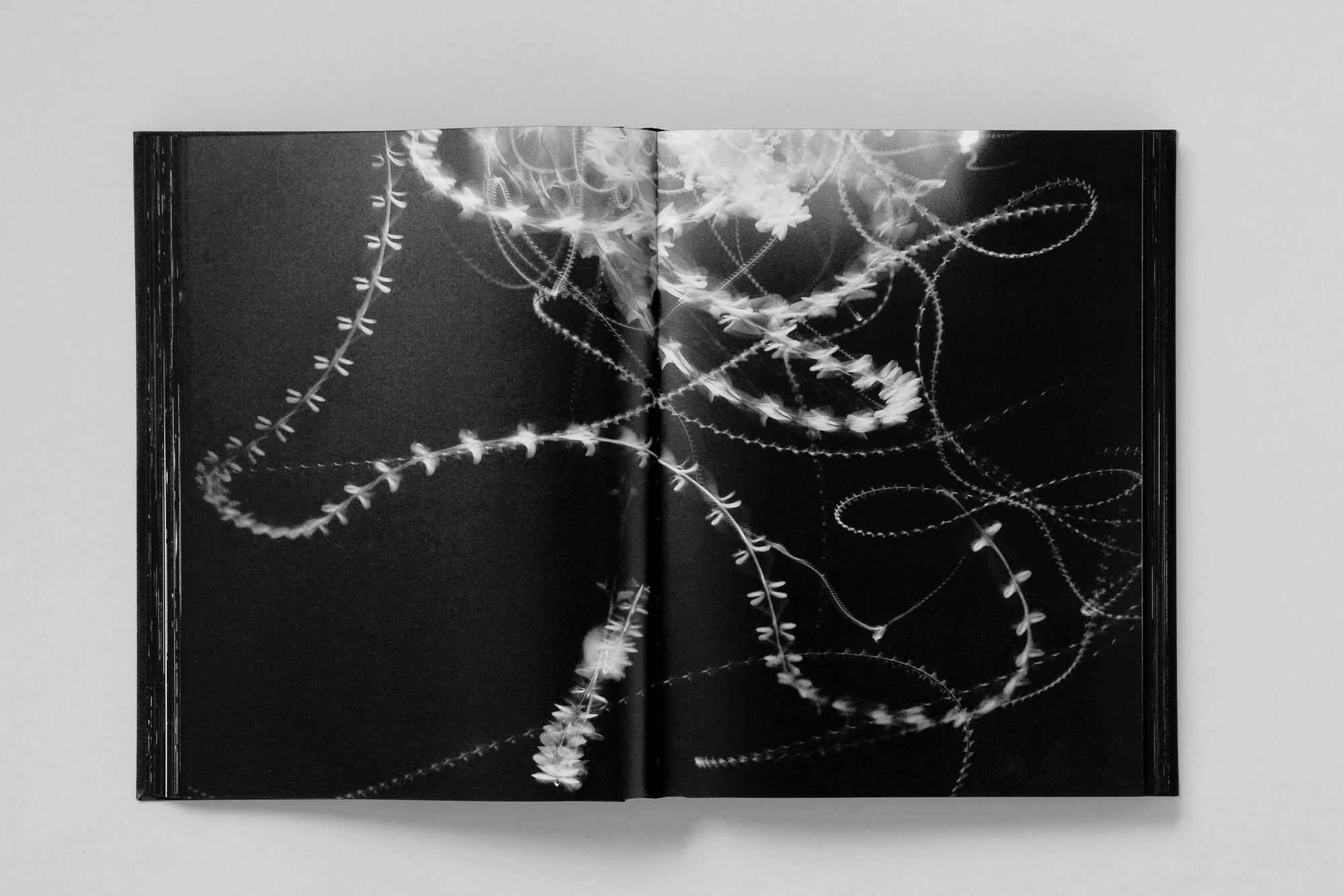 Monument (4th Printing)