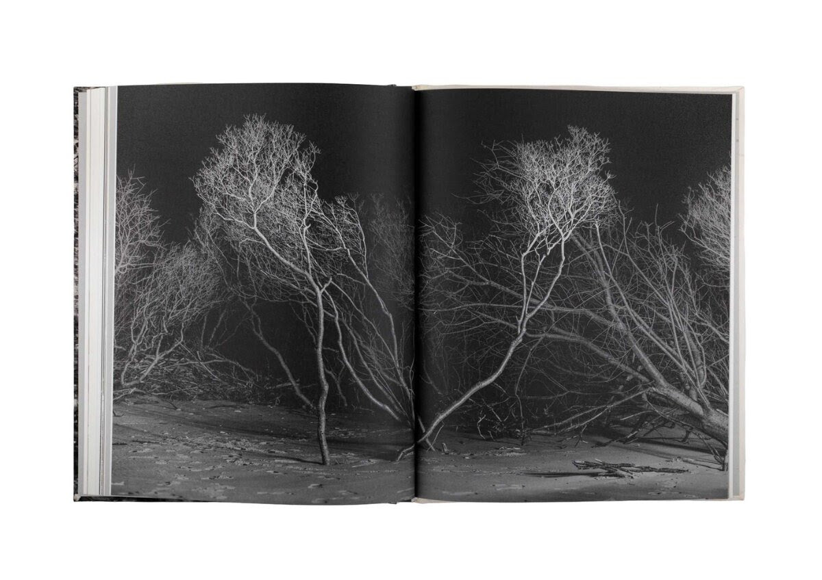 Alone Together (One Last Trip Around the Garden)