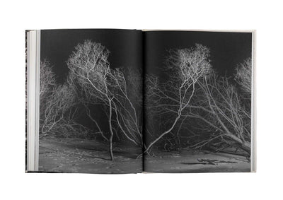 Alone Together (One Last Trip Around the Garden)