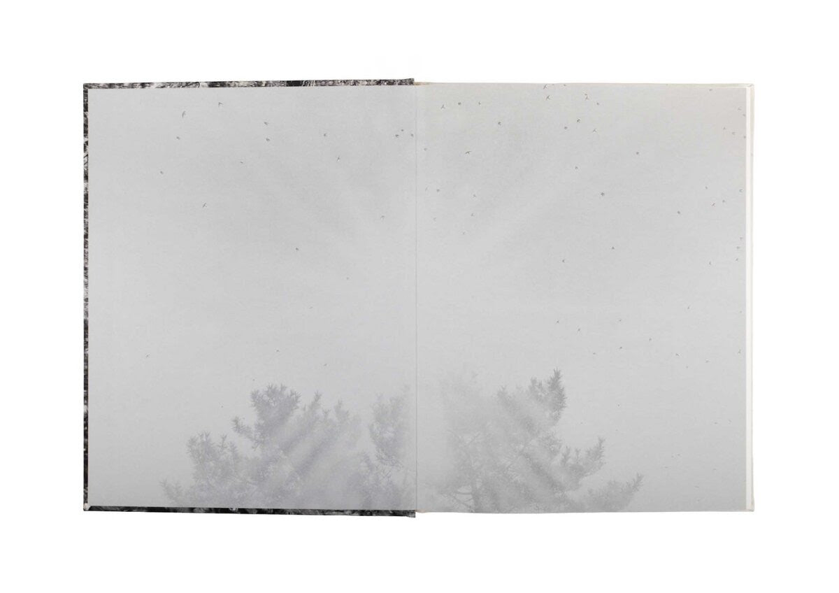 Alone Together (One Last Trip Around the Garden)