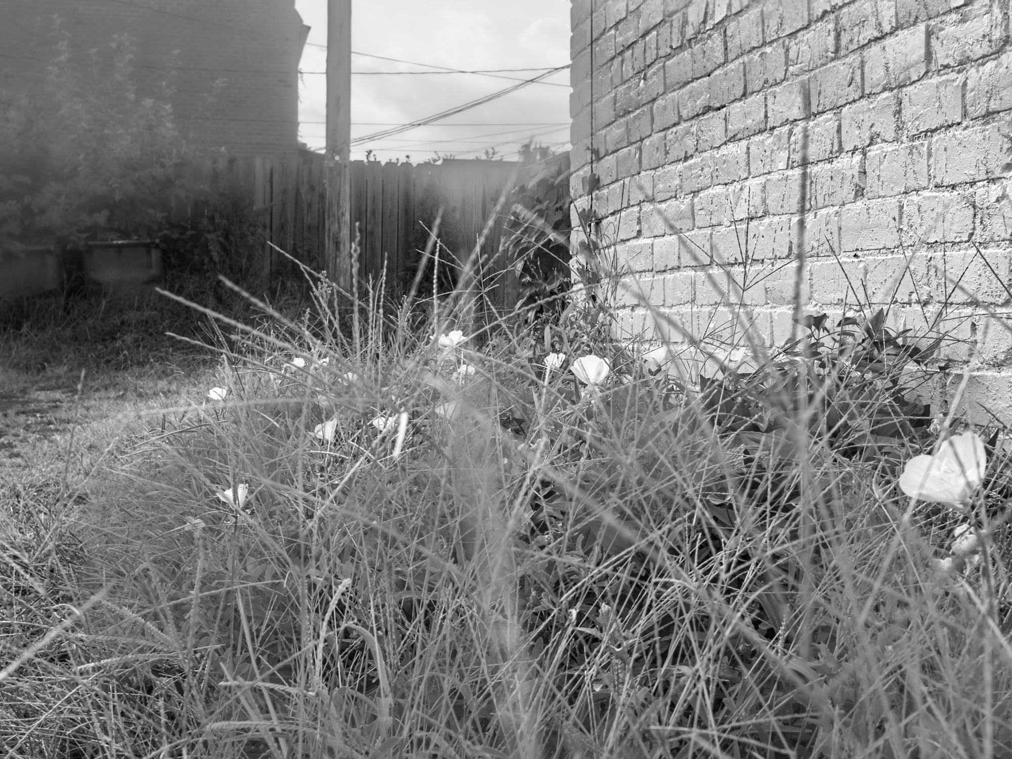 Touch Echoes the Soul