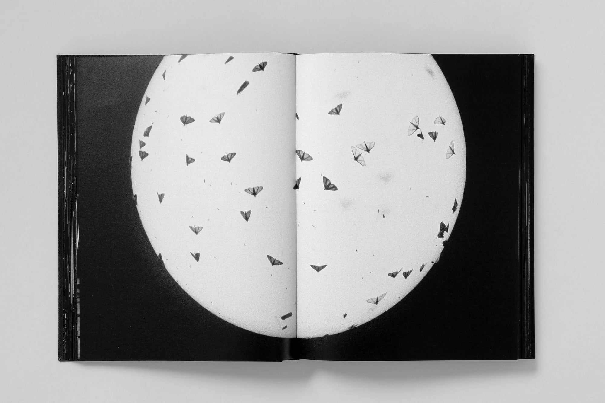 Monument (4th Printing)