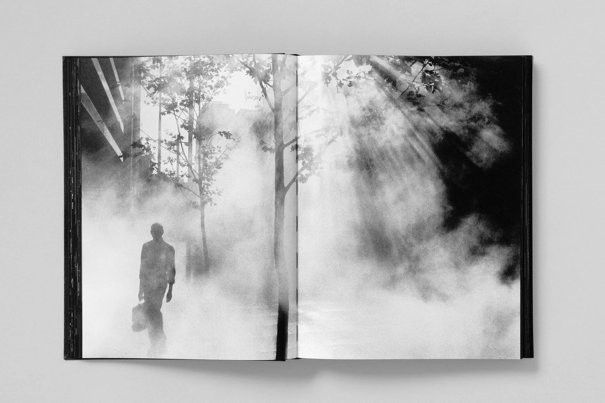 Monument (4th Printing)