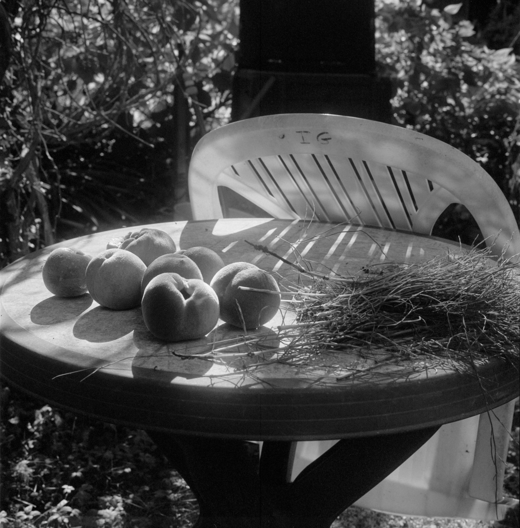 Les Jardins de Riesthal