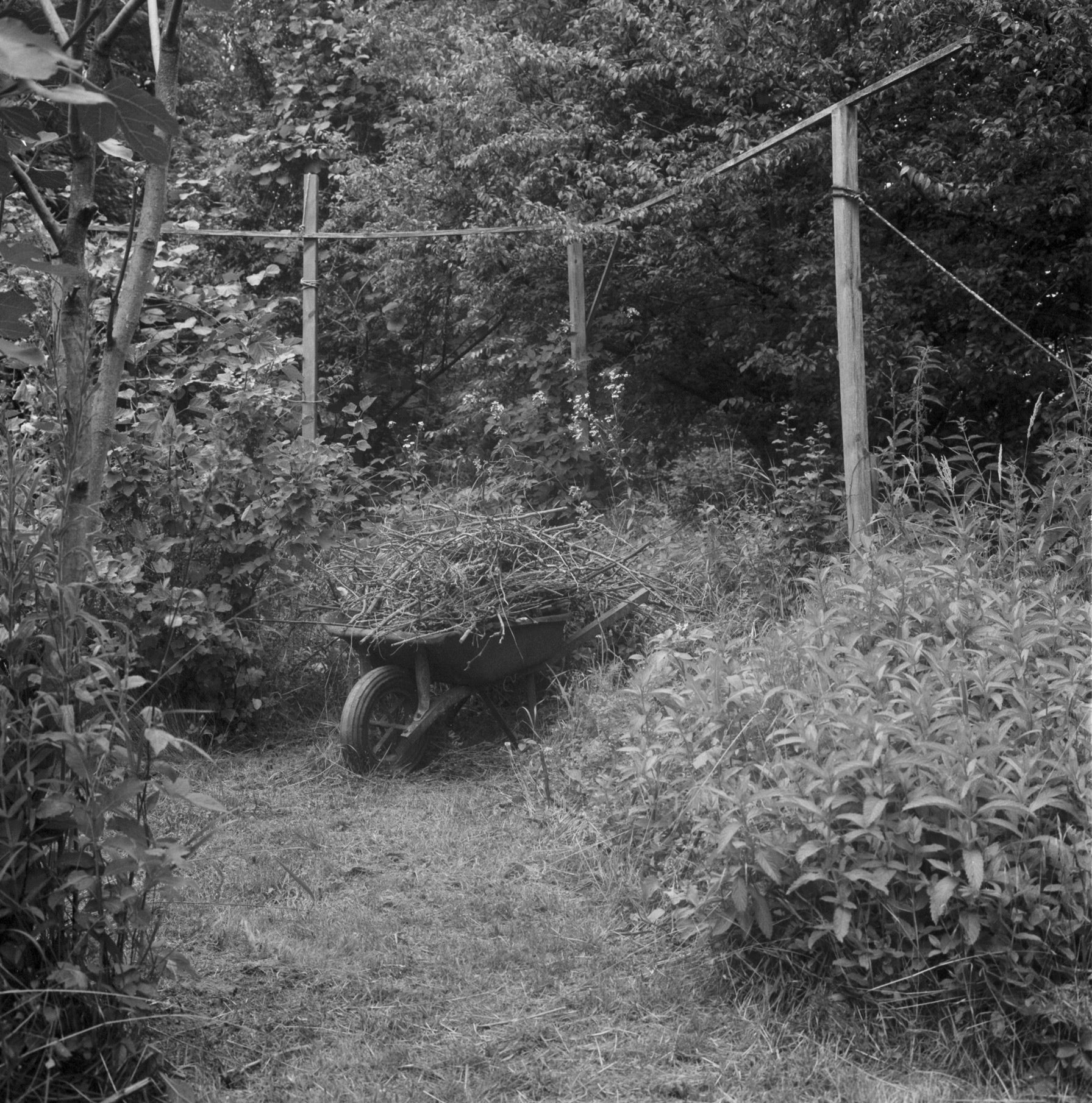 Les Jardins de Riesthal