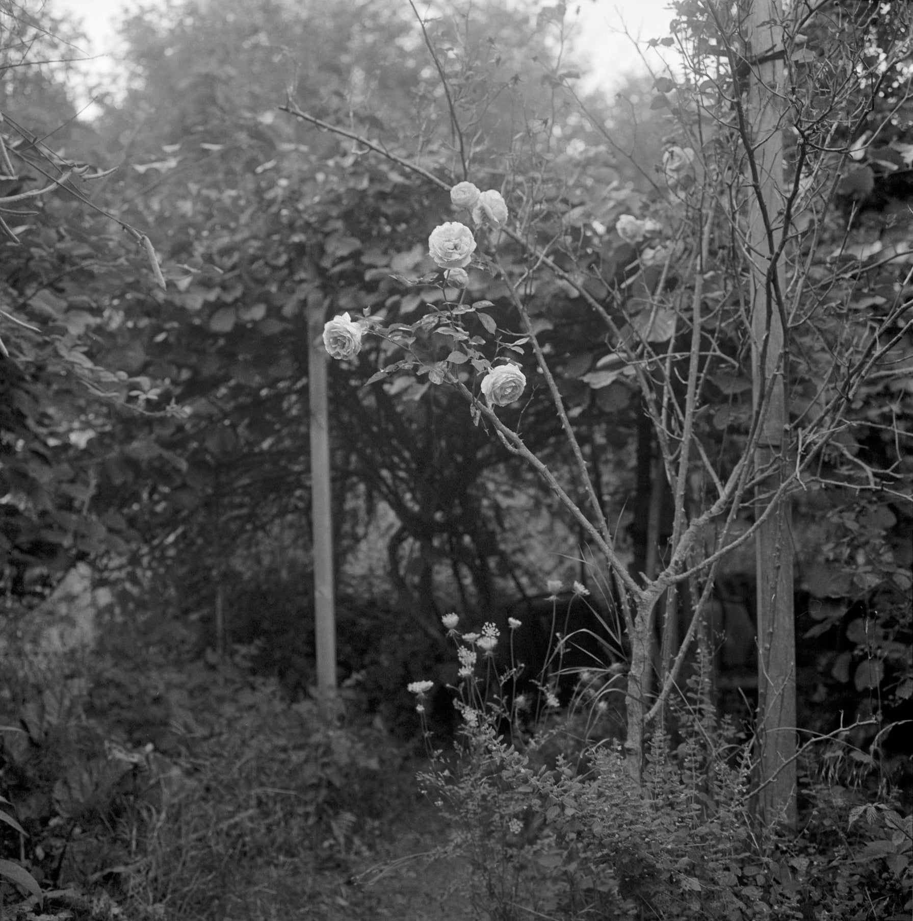 Les Jardins de Riesthal