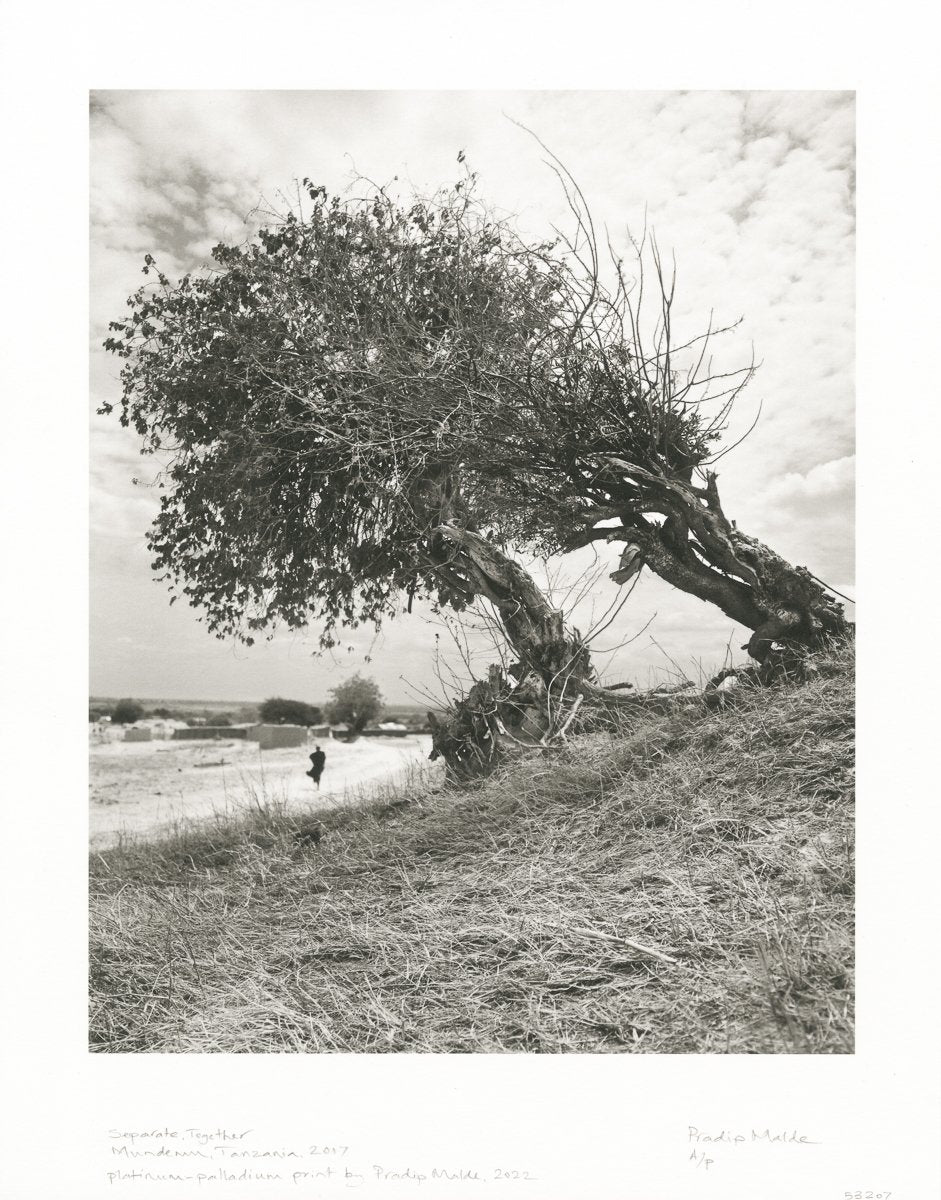 From Where Loss Comes Special Edition