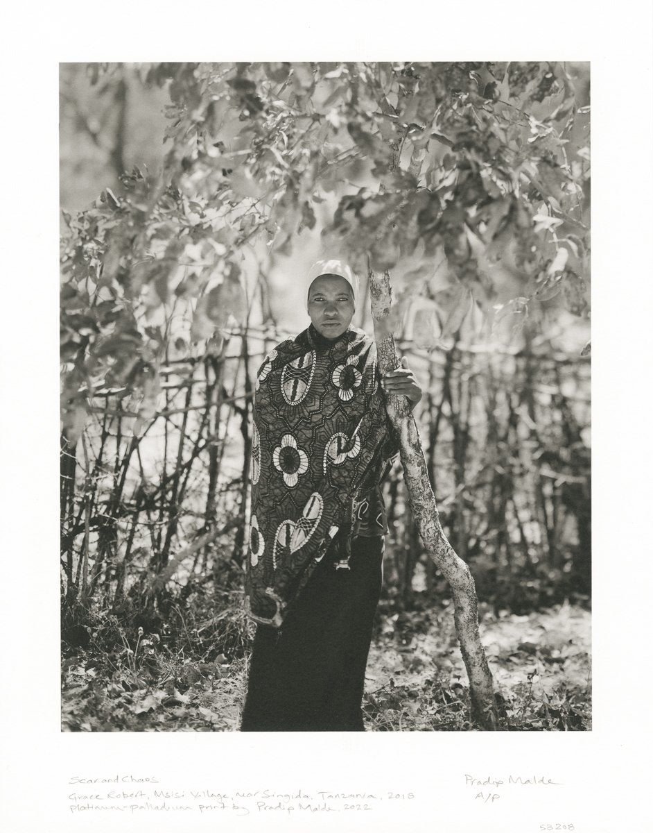 From Where Loss Comes Special Edition