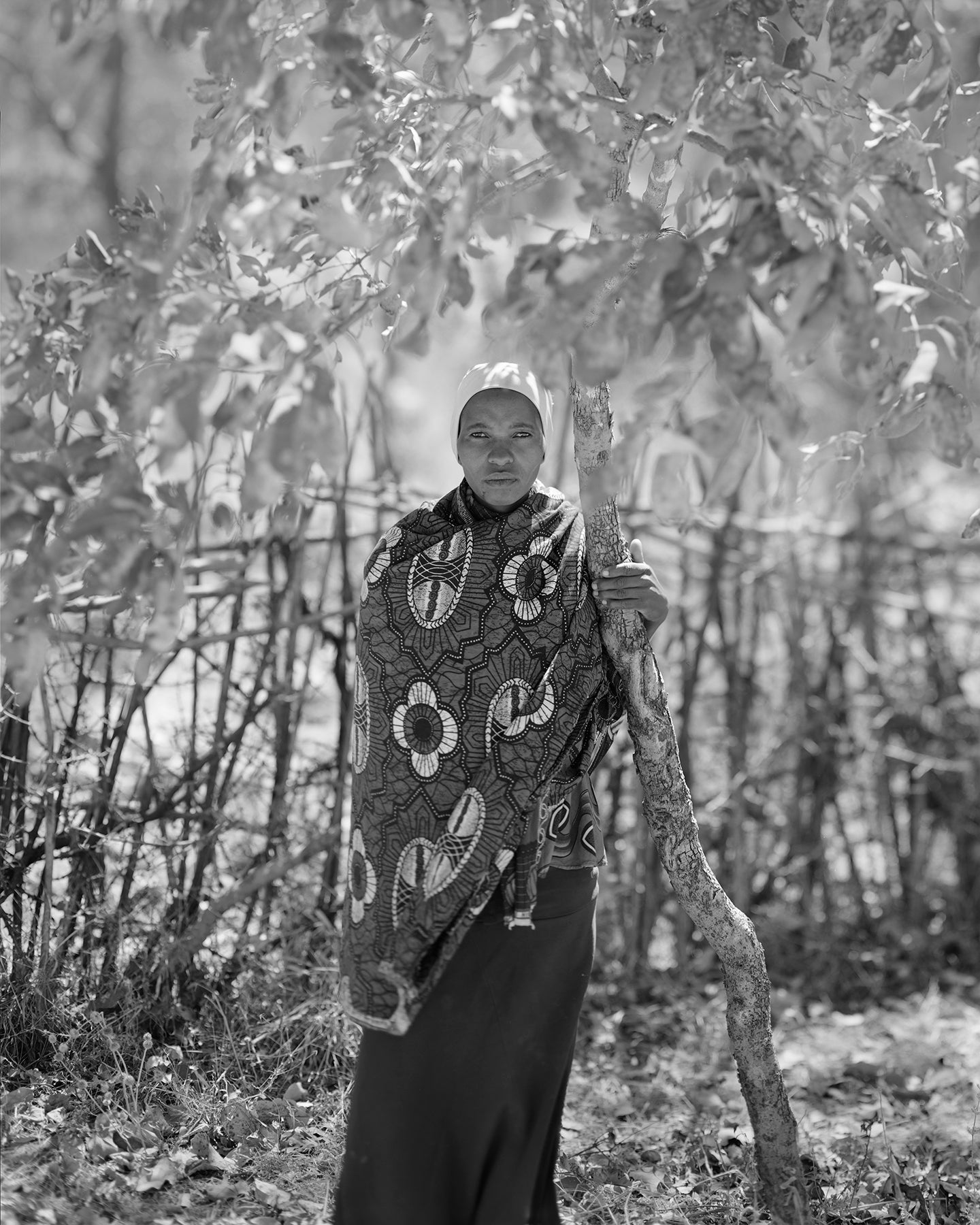 From Where Loss Comes