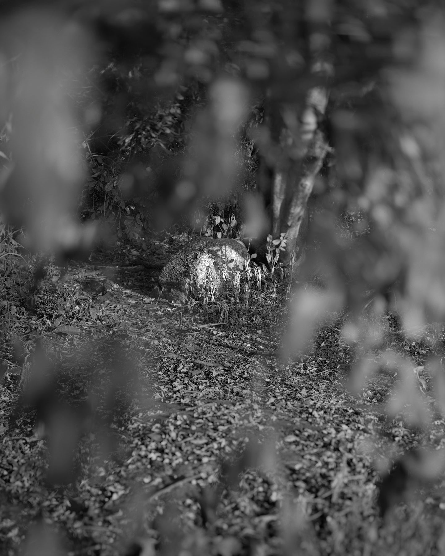 From Where Loss Comes