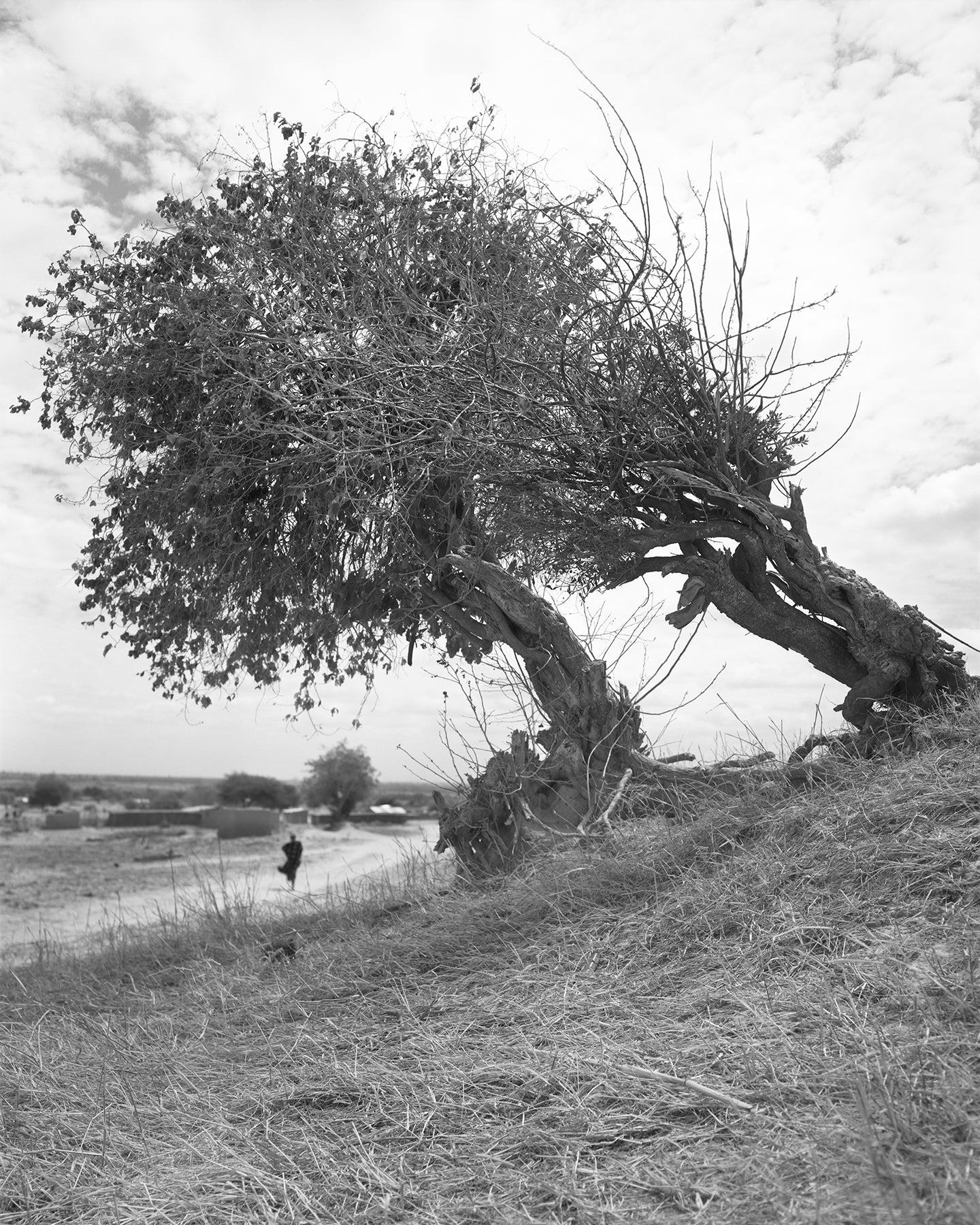 From Where Loss Comes