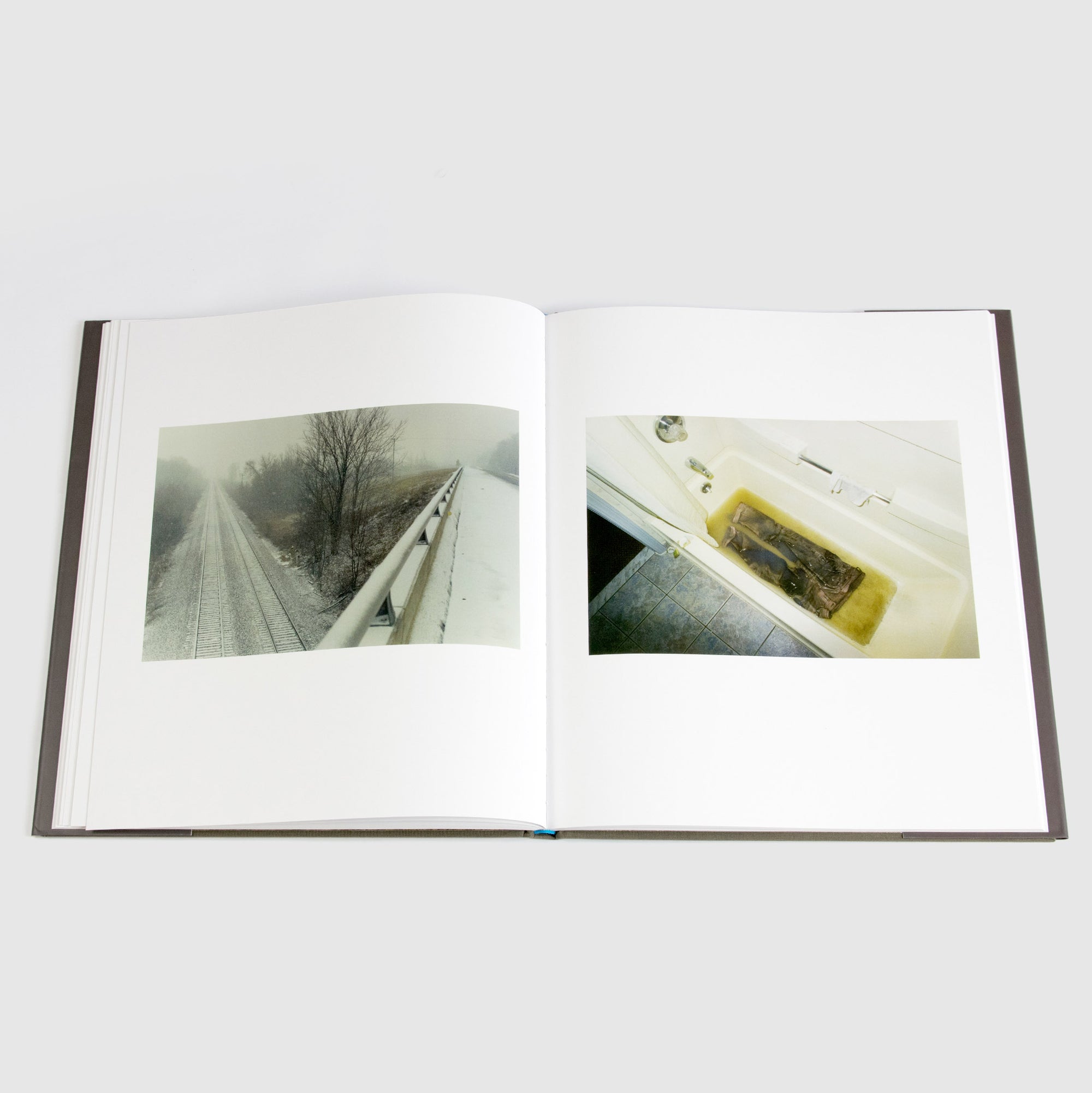 A Period of Juvenille Prosperity