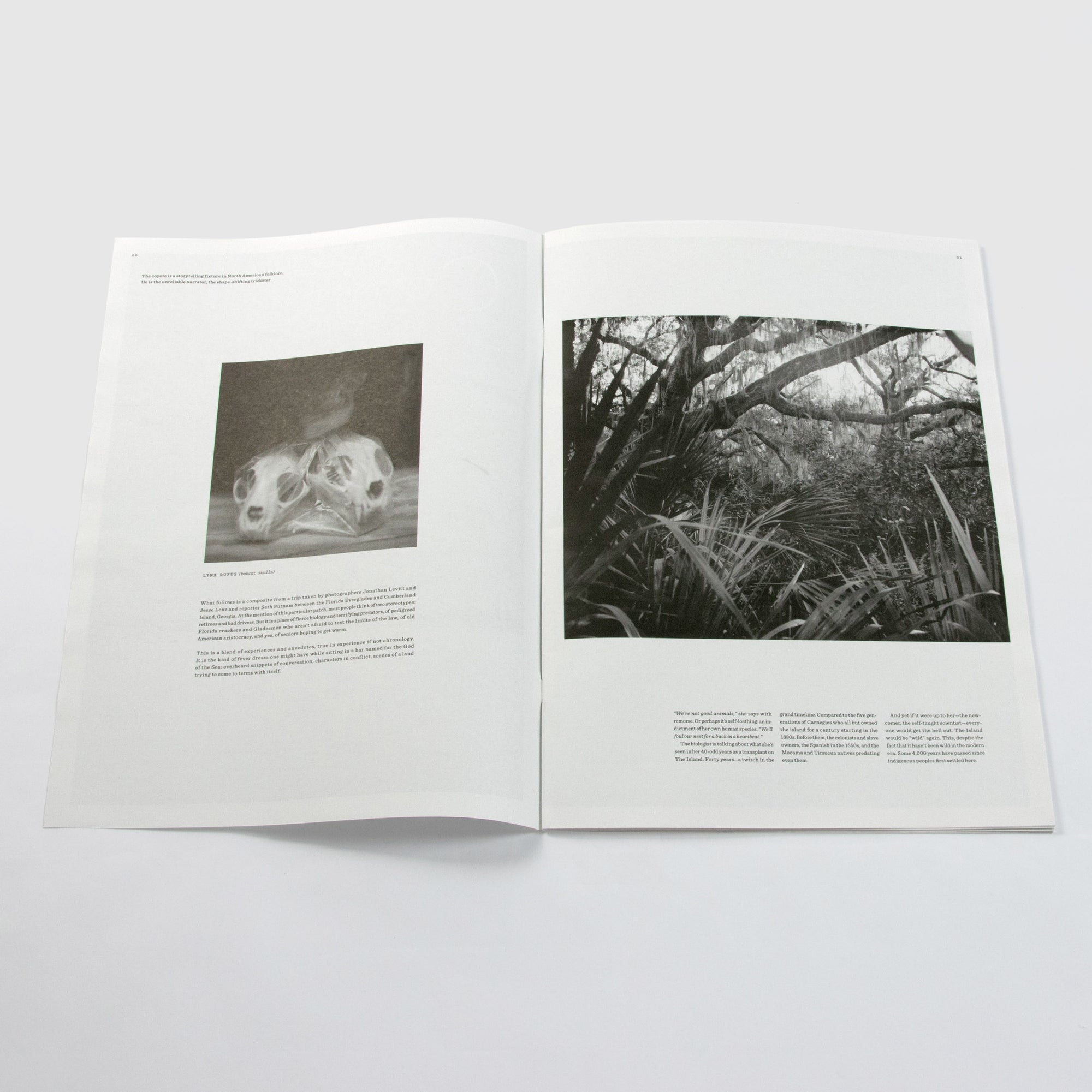 The Coyote: Neptune's Lounge