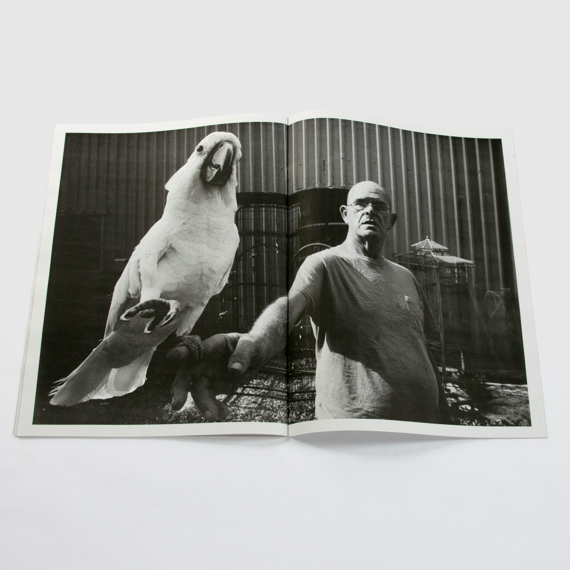 The Coyote: Neptune's Lounge