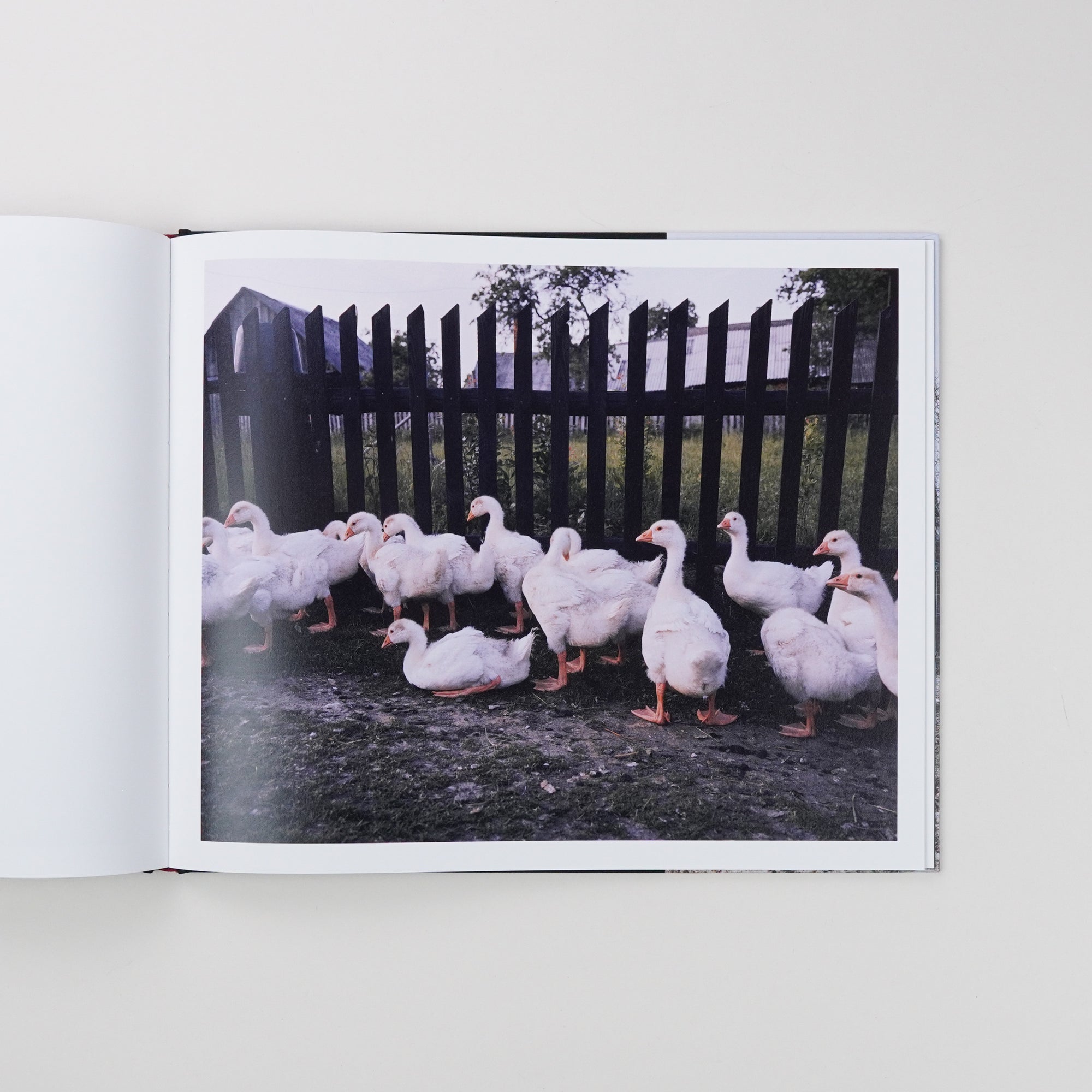 Gandras Slipcase Edition