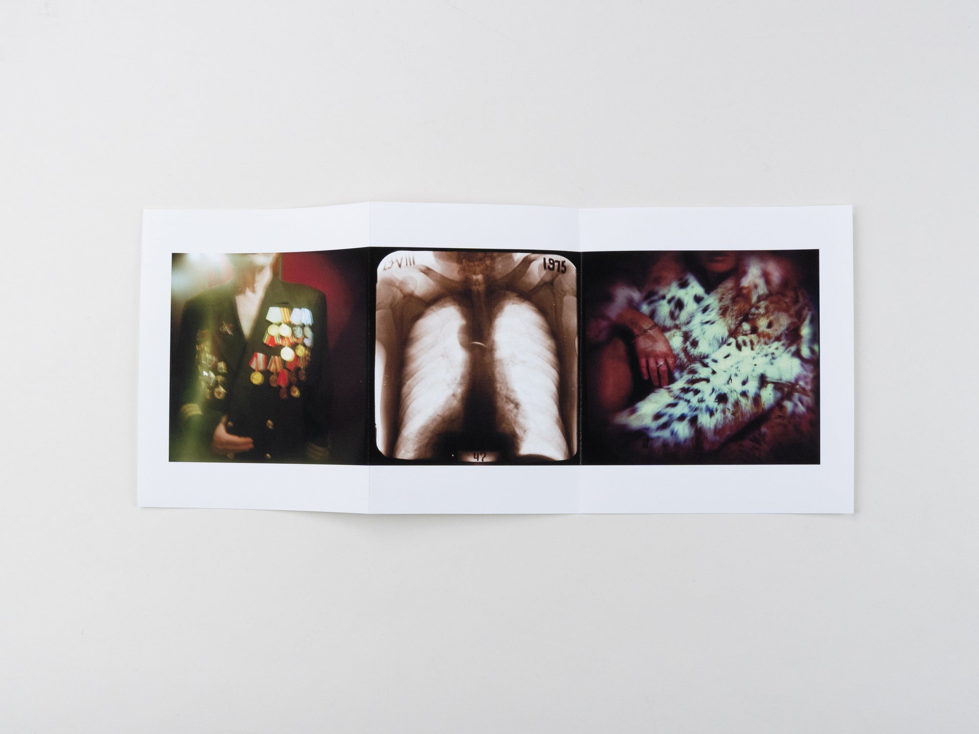 Cargó Special Edition