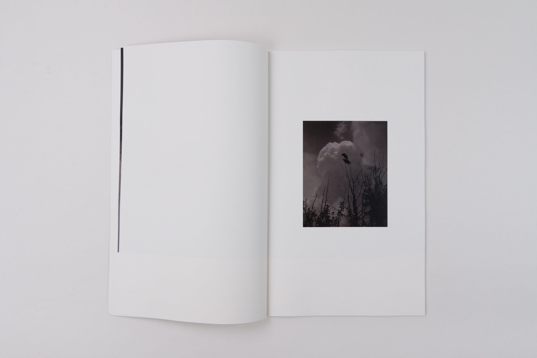 Half a Chisel to the Earth (Second Printing)