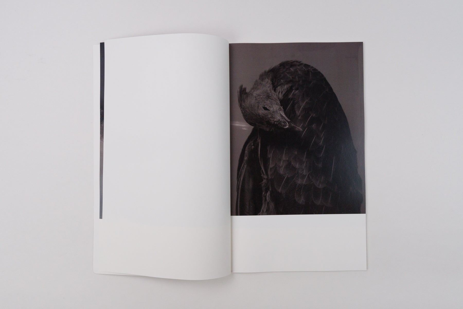 Half a Chisel to the Earth (Second Printing)